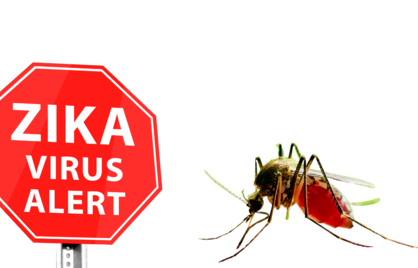 Kruisreacties tussen Dengue en Zika: Hoe betrouwbaar is een Zika-antistoffentest na een eerdere dengue-infectie?