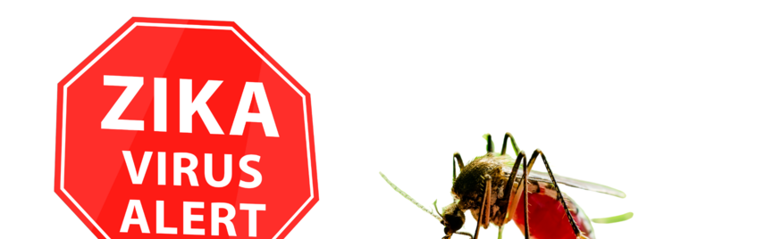 Kruisreacties tussen Dengue en Zika: Hoe betrouwbaar is een Zika-antistoffentest na een eerdere dengue-infectie?