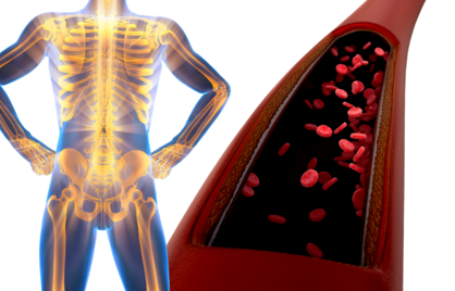 Vitamine K2: Waar Zit Het In en Waarom Is Het Zo Belangrijk voor Je Gezondheid?