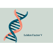 Factor V Leiden