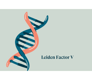 Factor V Leiden