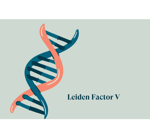 Factor V Leiden PCR bloedstolling