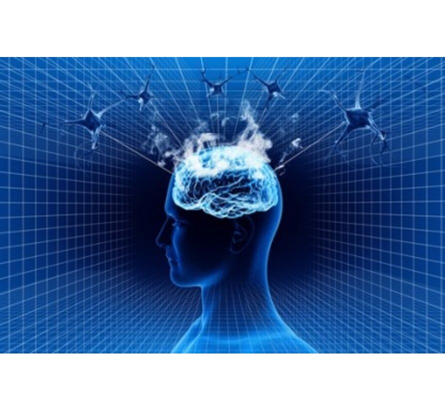 Neurotransmitters upgrade naar totaal