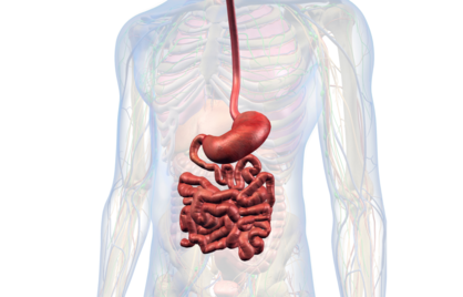 Ontlasting Onderzoek Zonder Verwijzing: Ontdek Wat Jouw Darmen Je Vertellen