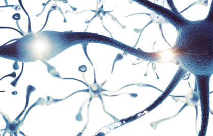 Alles over Neurotransmitters: Functies, Tekorten en Herstel