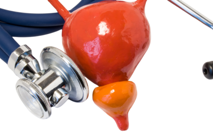 Ken je prostaat:  PSA-waarde en het monitoren van veranderingen