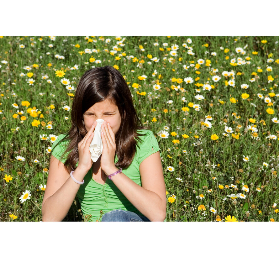 IgE Inhalatiemix  groot 54 allergenen RP  - Vingerprik