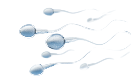 Niet zwanger worden? Ontdek welke labesten inzicht geven in jouw vruchtbaarheid