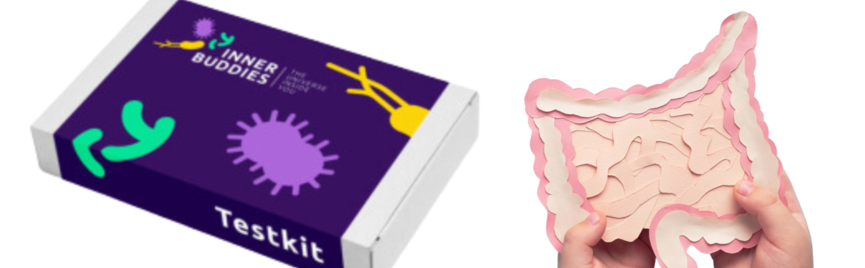 Vermoeid, opgeblazen of last van je spijsvertering? Ontdek hoe jij jouw microbioom optimaliseert met innerbuddies!"