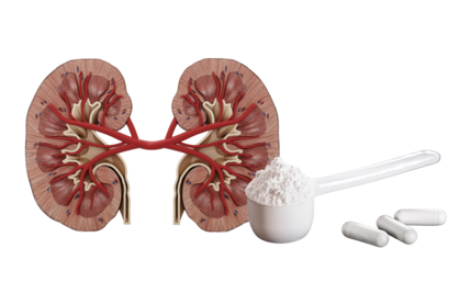 Dalende eGFR-waarde? 6 tips om je nierfunctie te ondersteunen ook bij creatinesupplementen.