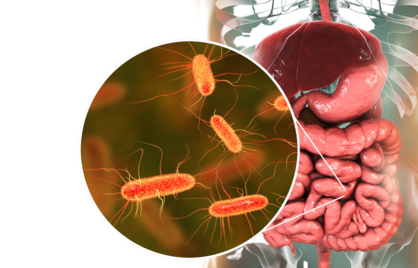 Waar InnerBuddies ophoudt, begint 4D Darmdiagnostiek