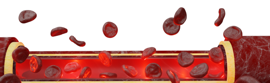 Te weinig bloedplaatjes? Het verschil tussen trombocytopenie en hemofilie