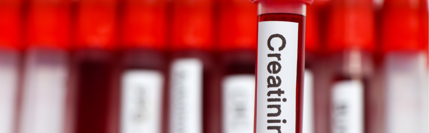 Wat zegt jouw kreatinine over je gezondheid? Ontdek het met een eenvoudige bloedtest