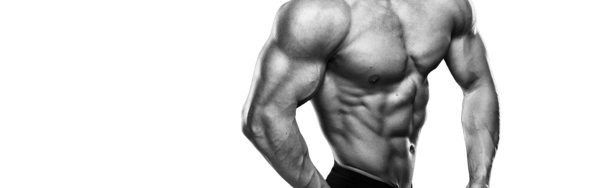 Bulk je lijf, niet je risico , waarom bodybuilders juist in de bulkfase hun apo B zouden moeten testen