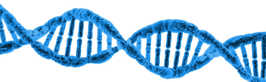 Persoonlijk leefstijladvies op basis van jouw DNA