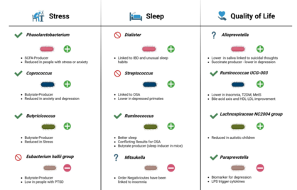 Wat je darmen vertellen over stress, slaap en jouw omgeving