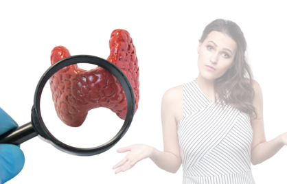 Traag, trager, trage schildklier? Misschien valt het wel mee.