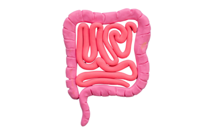 Rust in je hoofd begint in je buik: ontdek de krachtige rol van GABA en je microbioom bij stress en slaap