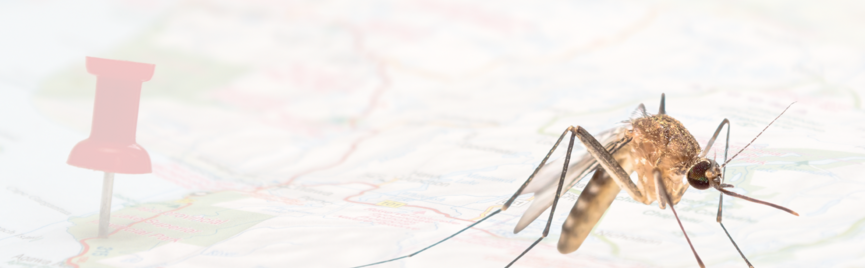 Overzicht van testen na een reis uit Indonesië