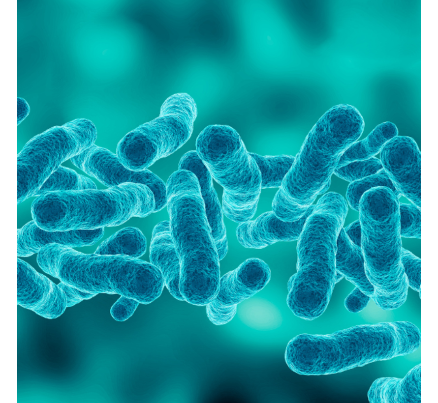 Legionella Veteranenziekte uit urine