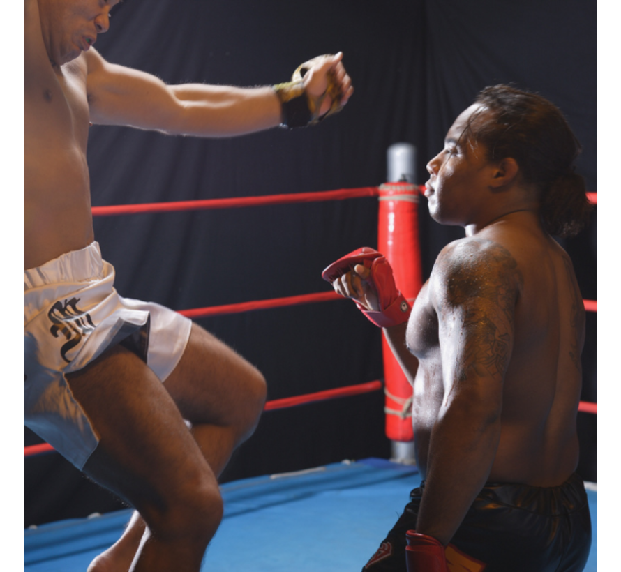 Mixed Martial Arts (MMA)