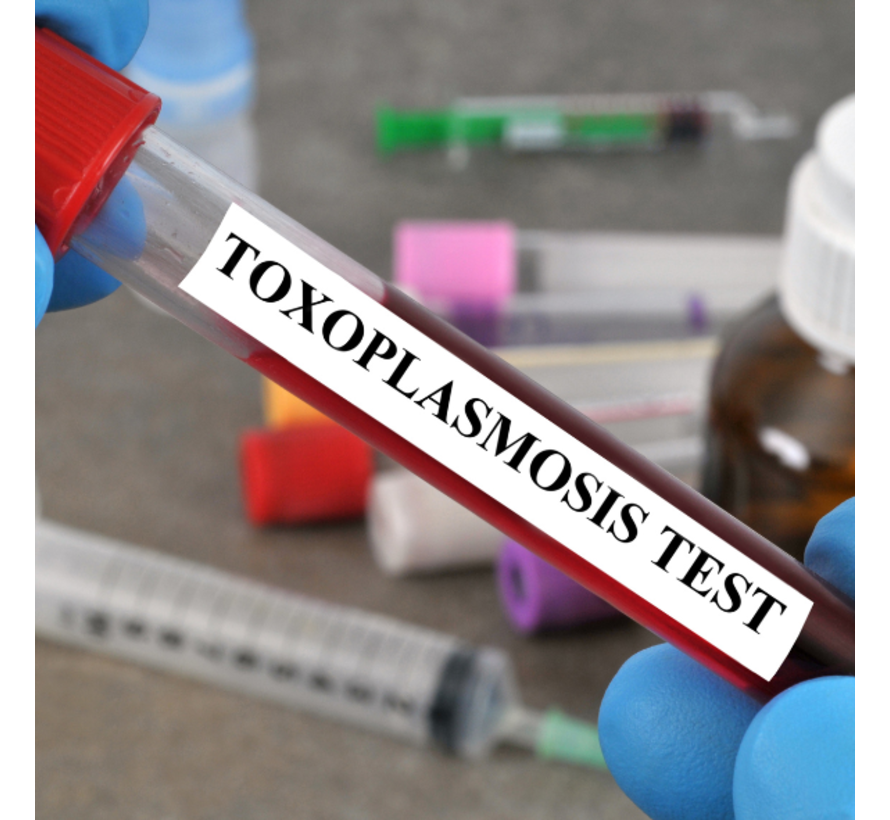 Toxoplasmose screening. Let op bij zwangerschap!