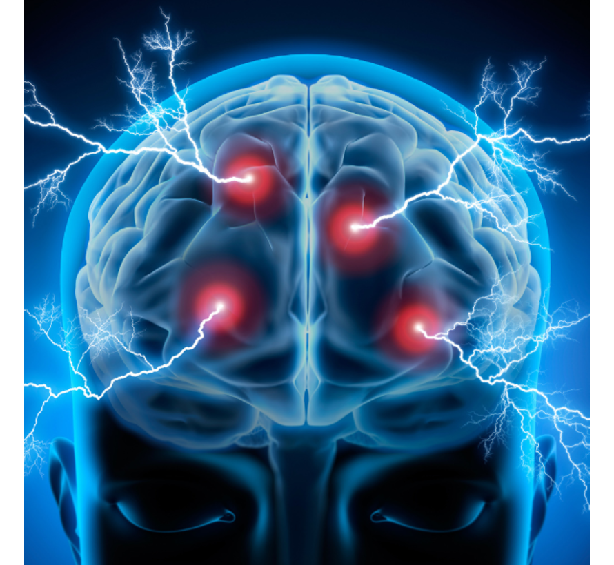 Neurotransmitters total RP