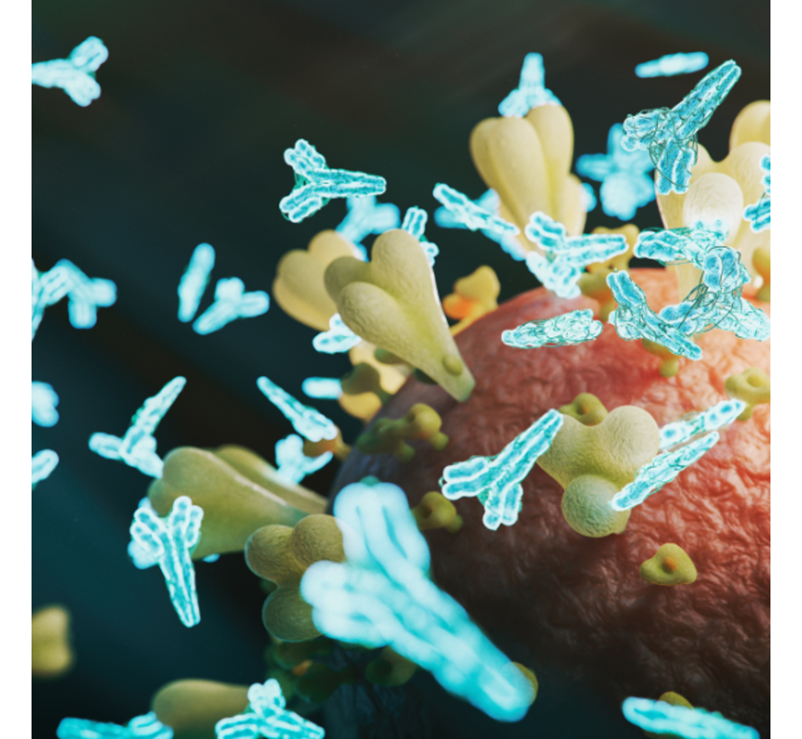 antistoffen tegen GAD65