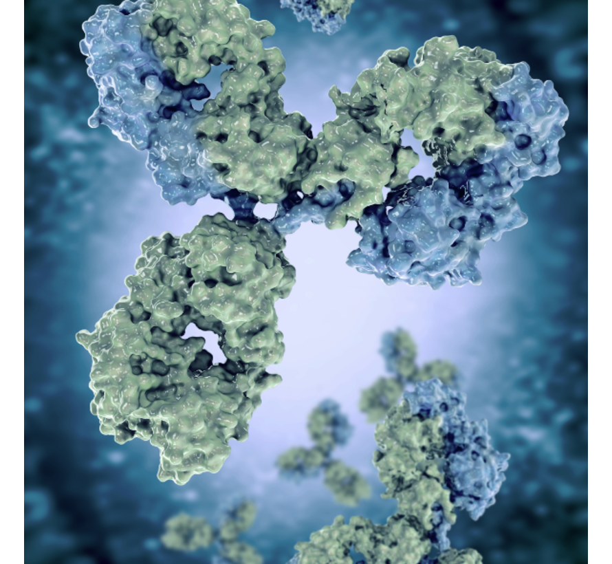 HTLV-I/II screening adult T-cell leukemie