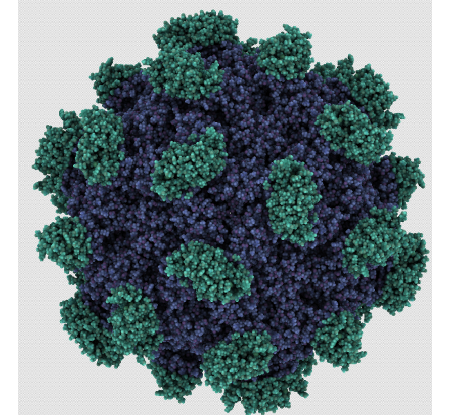 Hepatitis Delta IgG antistoffen