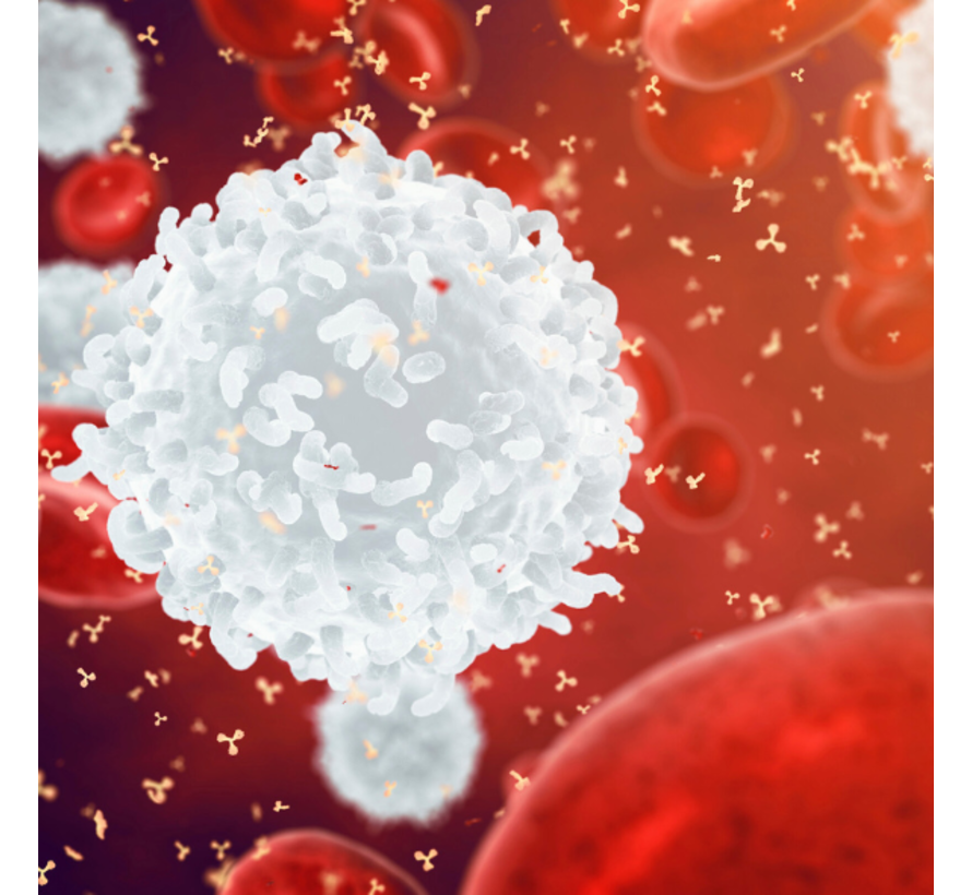 immunoglobuline, IgG  Infecties