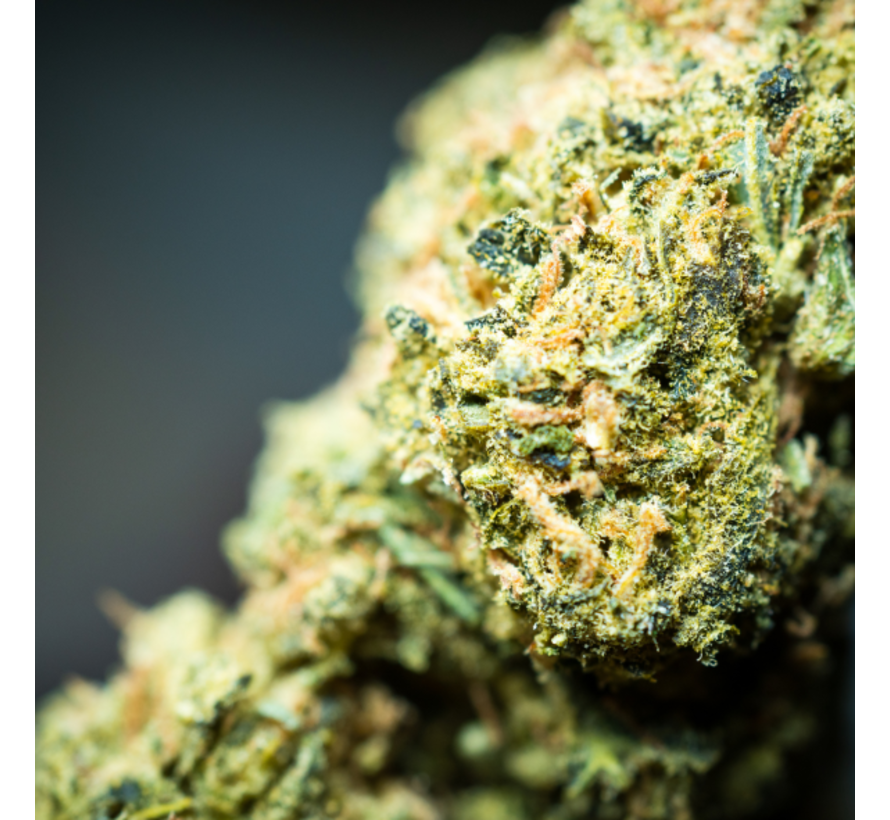 Cannabis gebruikt? THC uit bloed  Prive