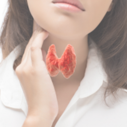 Schildklier Bloedonderzoek