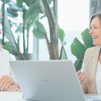 Consulten en advies