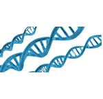 DNA-testen