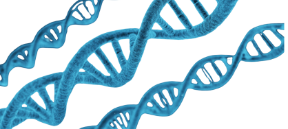 DNA-testen