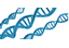 DNA-testen