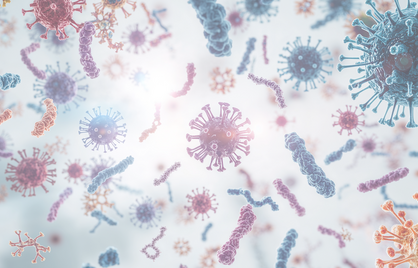 Past jouw dieet bij je darmen? Ontdek het met de 4D-microbioomtest