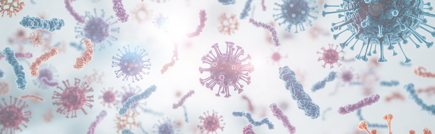 Past jouw dieet bij je darmen? Ontdek het met de 4D-microbioomtest