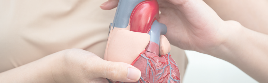 Lipoproteïne(a): een onderschatte risicofactor met grote consequenties