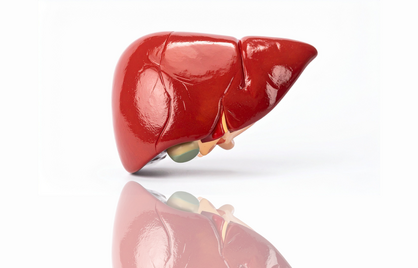 Je lever is de spiegel van je stofwisseling, waarom MASLD de nieuwe stille epidemie is