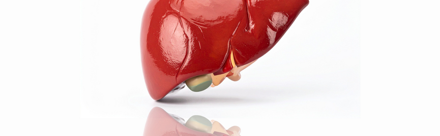 Je lever is de spiegel van je stofwisseling, waarom MASLD de nieuwe stille epidemie is