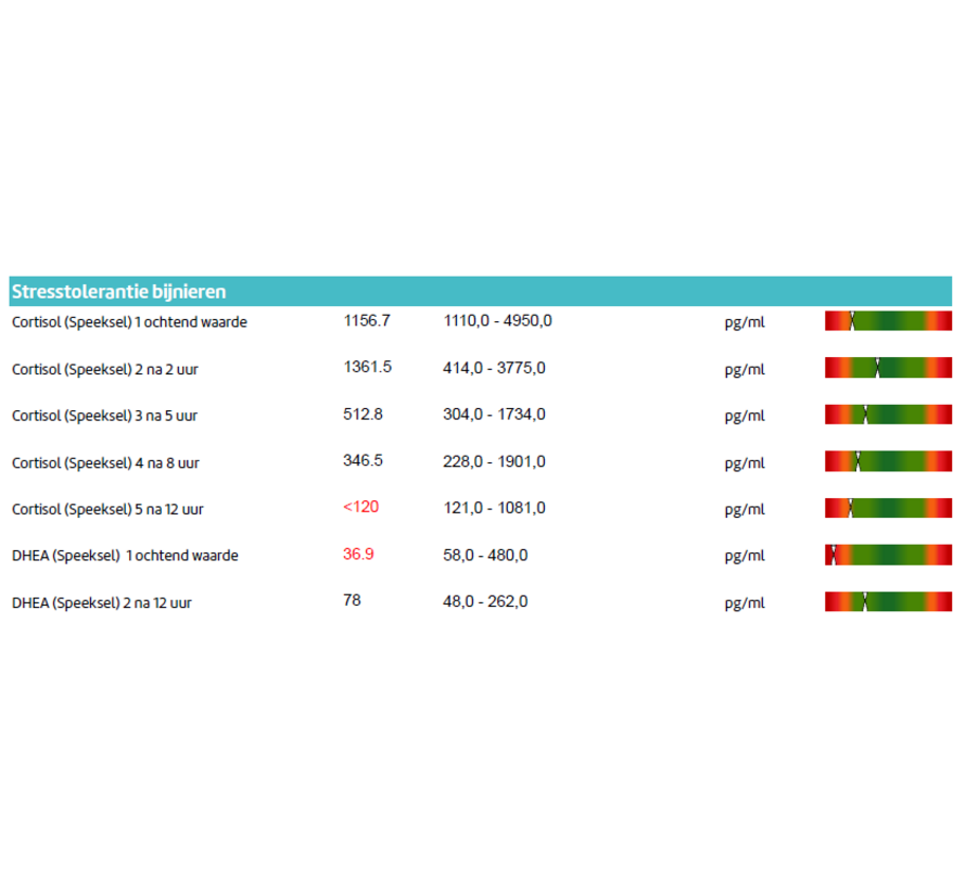 Burn-out Speekseltest Bij Stress