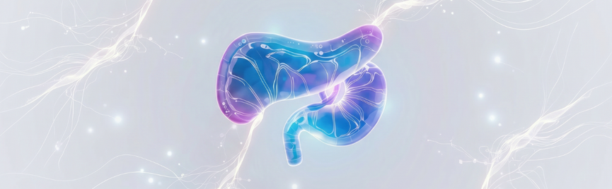 Alles wat je moet weten over de nieuwe C-Peptide Test van Bloedwaardentest