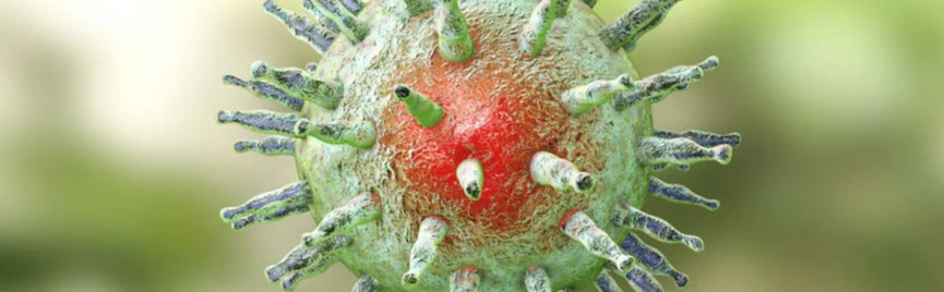 Vragen over de Epstein-Barr test.