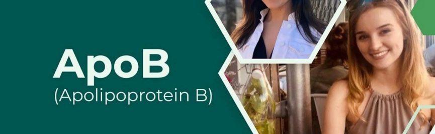Apolipoproteïne B (ApoB): wat zegt deze waarde over je hart en vaatrisico?