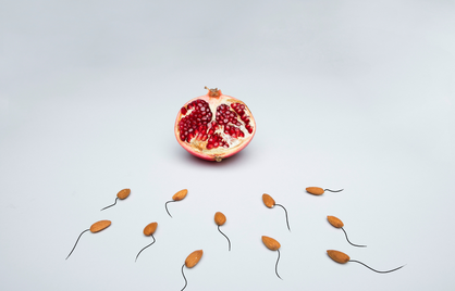 Kan het sperma van je partner je vaginale flora beïnvloeden?