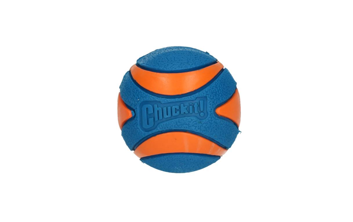 Chuckit Ultra Squeaker Ball