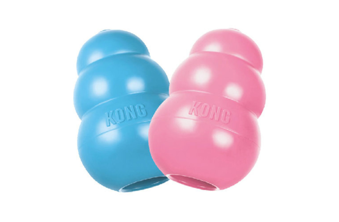 Kong Puppy
