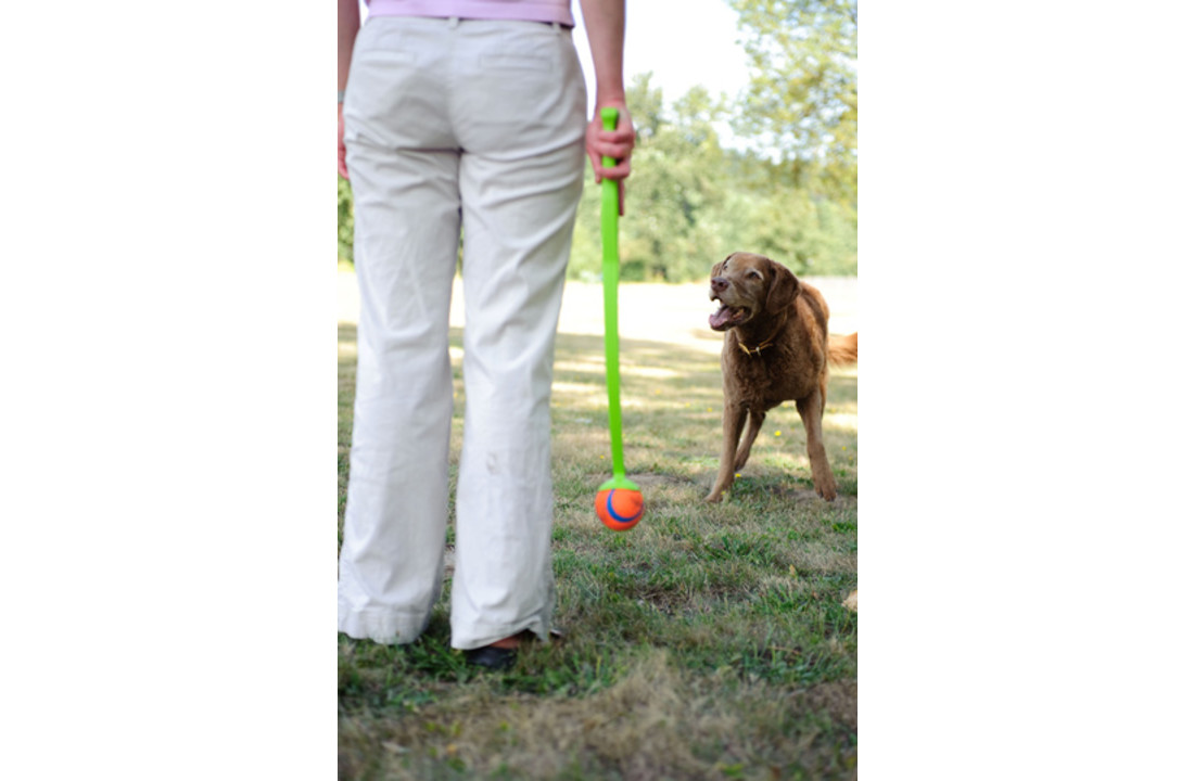 Chuckit Ultra Ball
